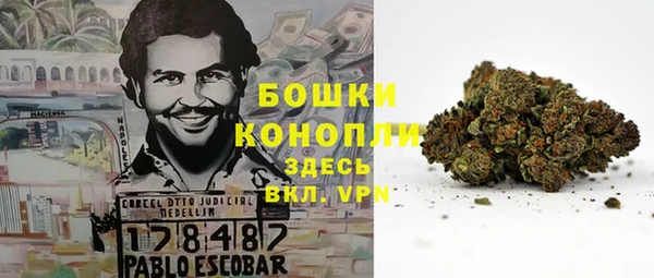 ГАЛЛЮЦИНОГЕННЫЕ ГРИБЫ Мегион