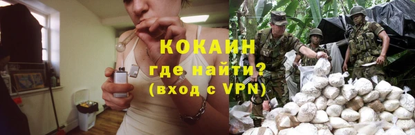 дмт Абаза