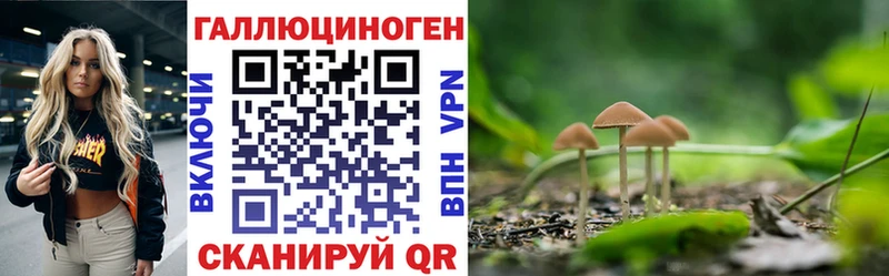 blacksprut зеркало  Чкаловск  darknet наркотические препараты  Галлюциногенные грибы Magic Shrooms 